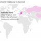 Image for article titled The places in the world that have a burqa ban